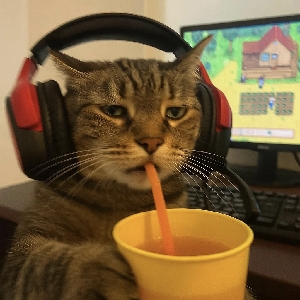 -斜键仙
