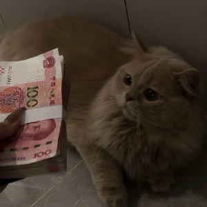 挽怅戏