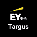 安永咨询