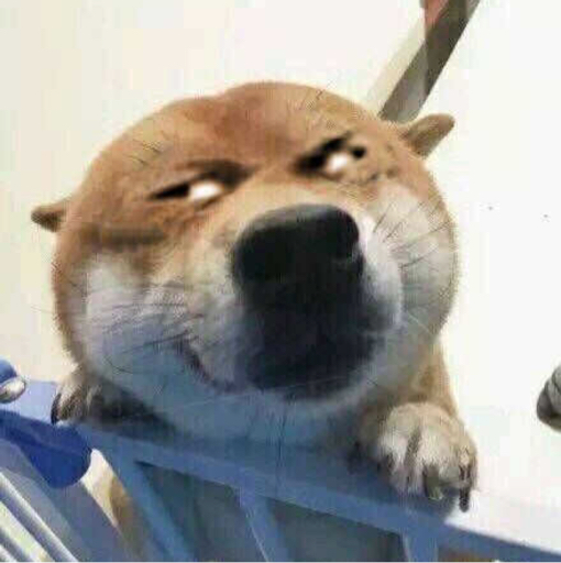 木里木耶