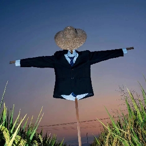 伯牙boooya