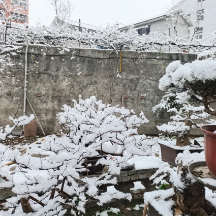 Q雨水润万物