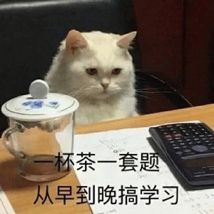 听闻余生只有你