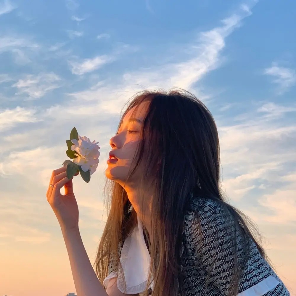 南西吖33