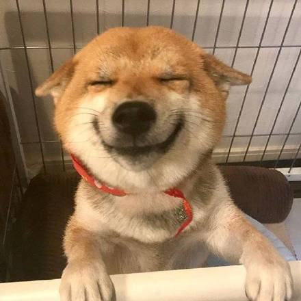 脑洞也是洞