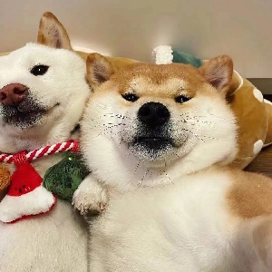 鲁迅教做人