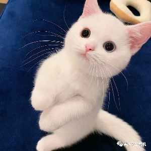 ⚠