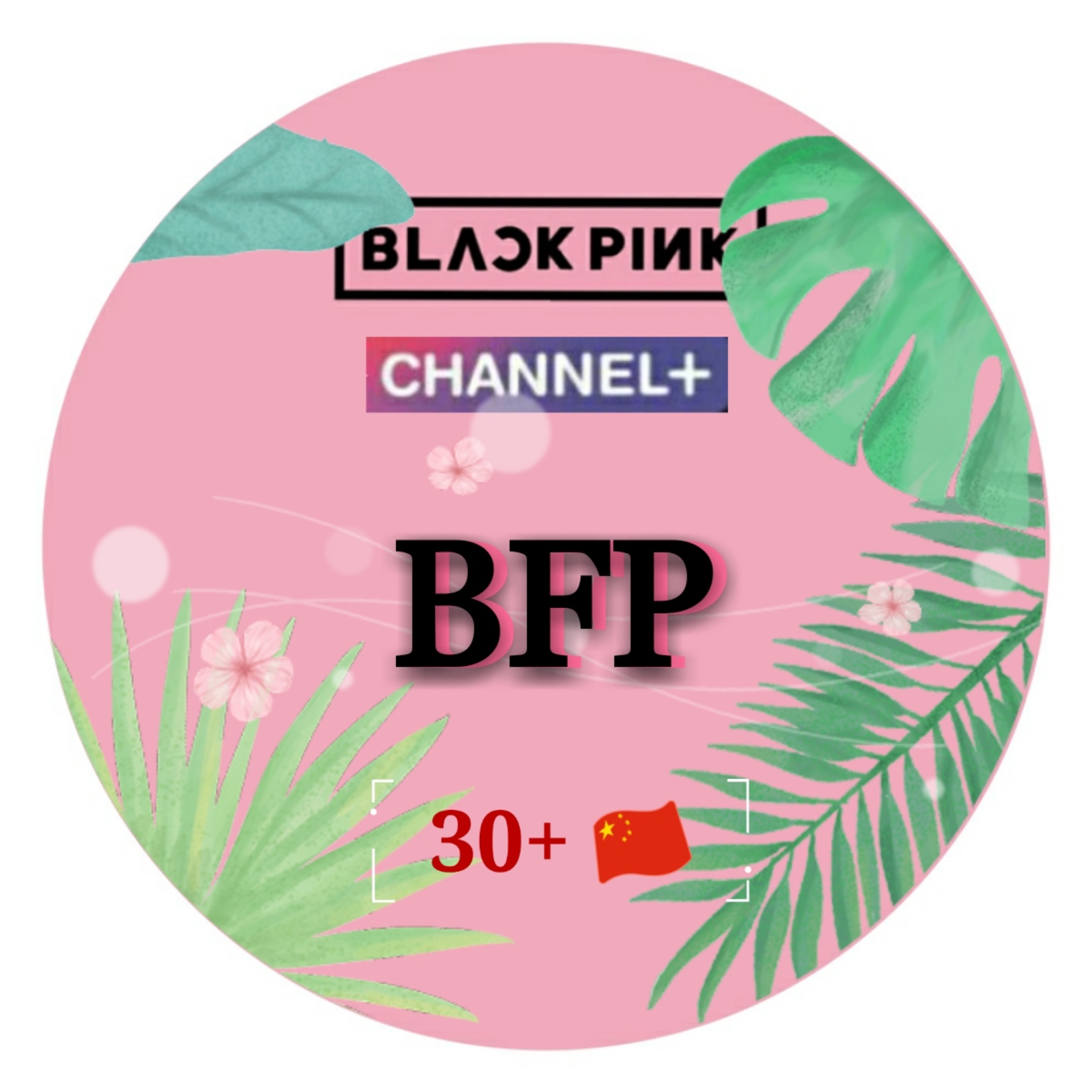 blackpink字体粉色图片