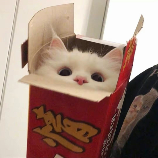 CatCatAssassin