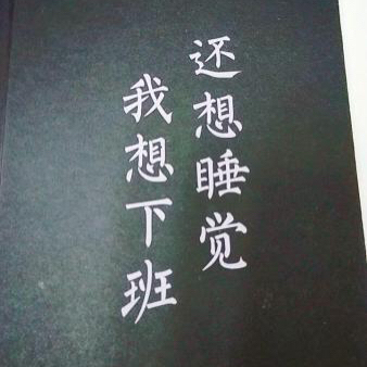 8489的驾驶日记