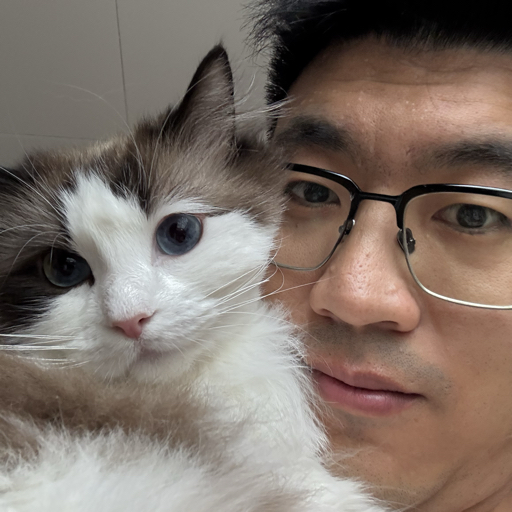 戏很多的金兑