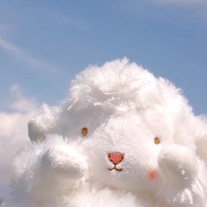 the making fo"the dance"