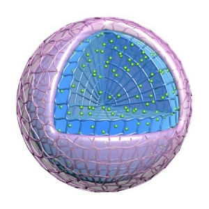 【3dsmax科研插图】渐变色纳米胶束