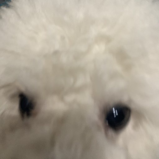 何时暗区突围