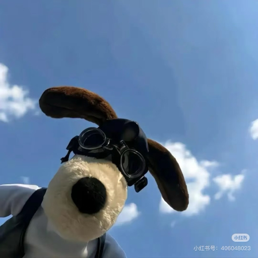 王挺狠