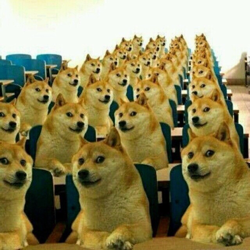 ⚠