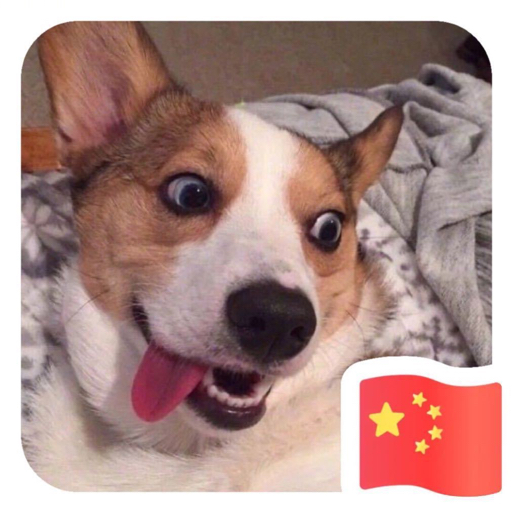 剑网三指尖江湖 人靠衣装 马靠鞍 唐简 日常十连旅游篇 游戏社