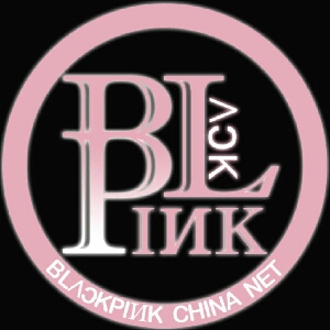 blackpink中文网的个人空间 