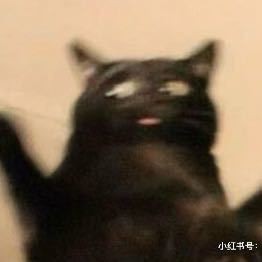 Fish吃了没