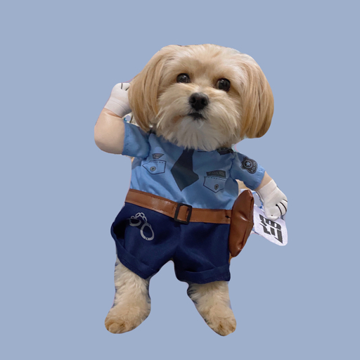 大头的自习室studywithme昨天去学校现场确认信息了所以是板上钉钉的