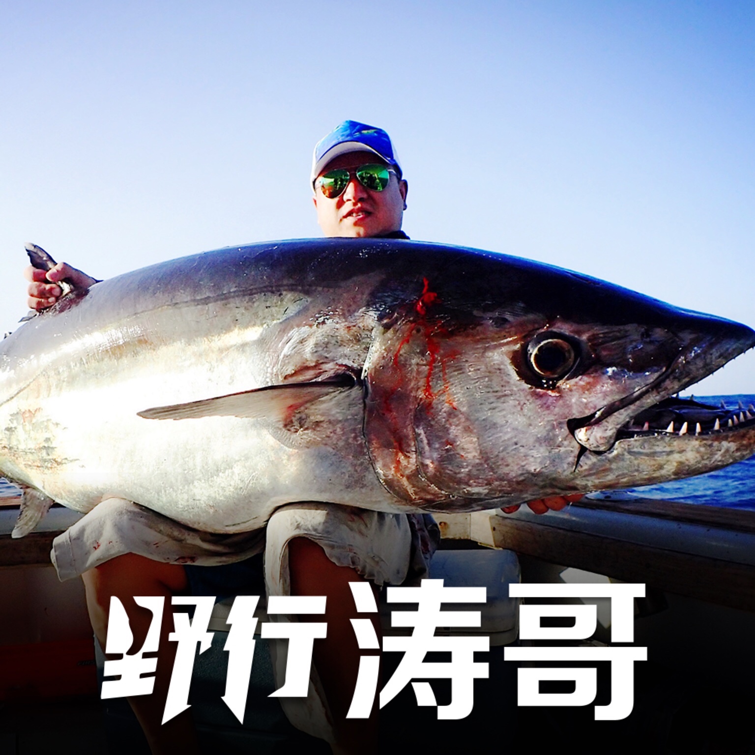 【混剪】新手踩点练习 转场,涛哥在亚马逊的小freak