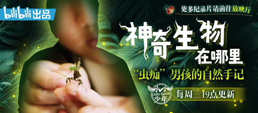 硬核“虫系宝可梦”玩家，刷新你认知！