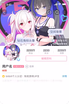 预览