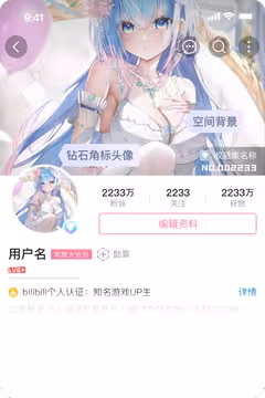 预览