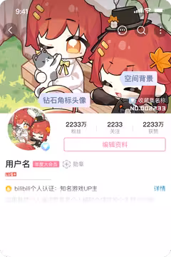 预览