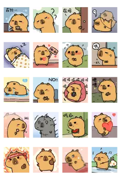预览