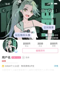 预览