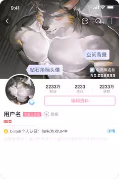 预览