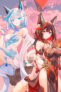 预览