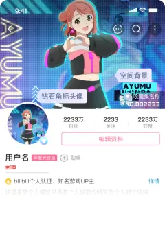 预览