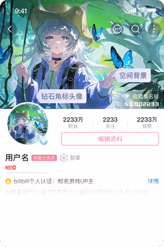 预览