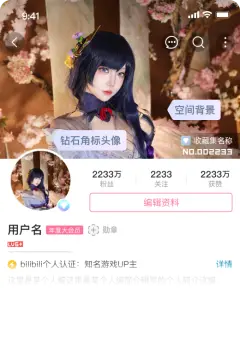 预览