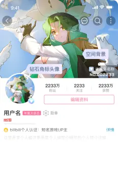 预览