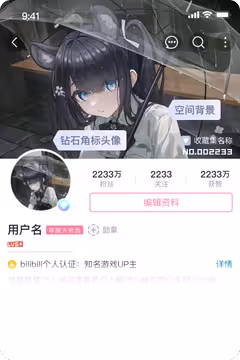 预览