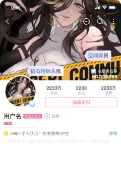 预览