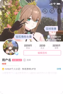 预览