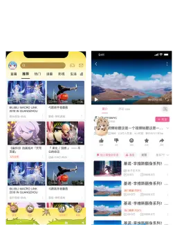 预览