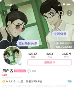 预览