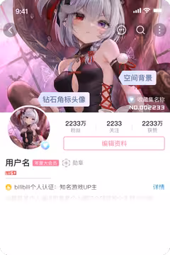 预览