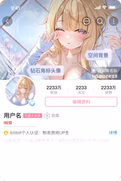 预览