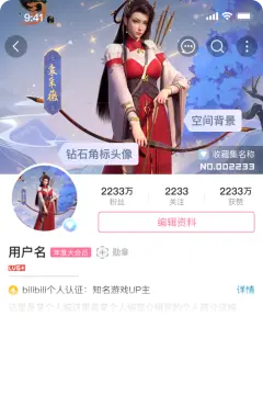 预览