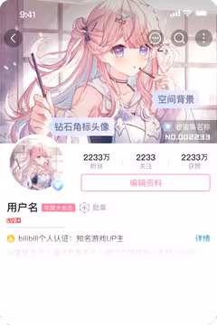 预览