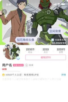 预览