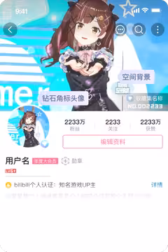 预览