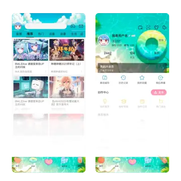 预览