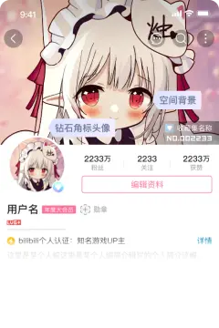 预览